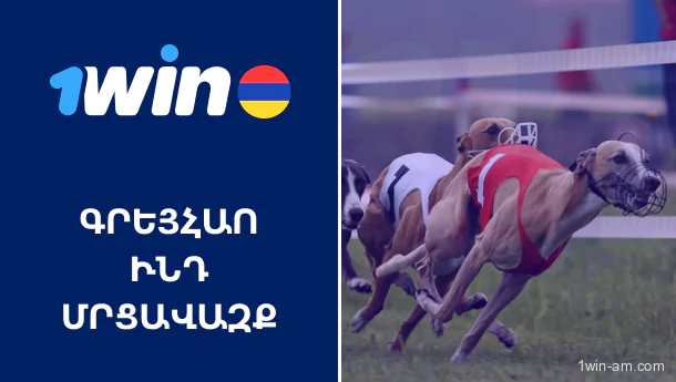 Գրեյհաունդ մրցավազք 1Win Վ-Սպորտ